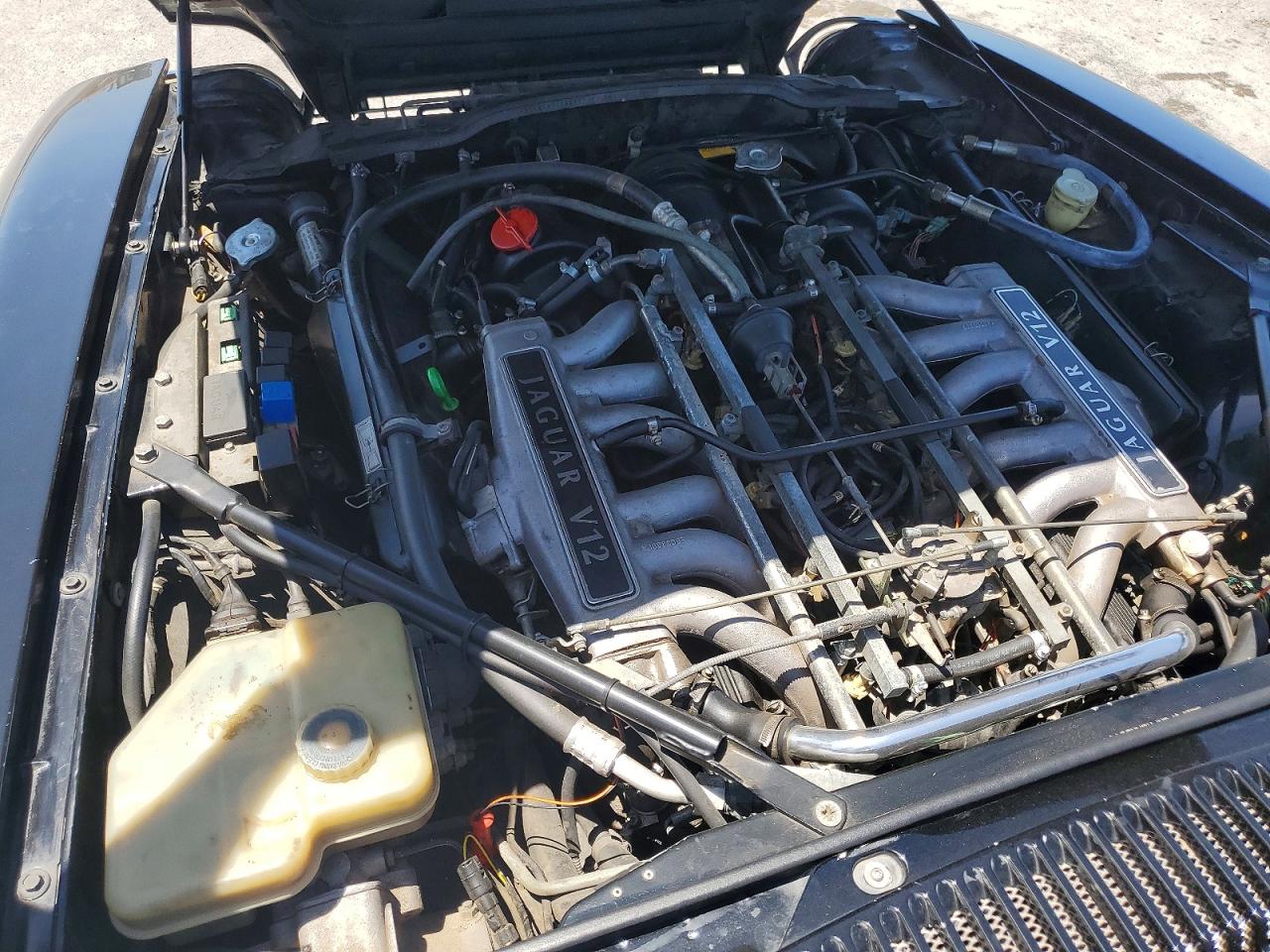 1992 Jaguar Xjs Black vin: SAJNW5846NC181735