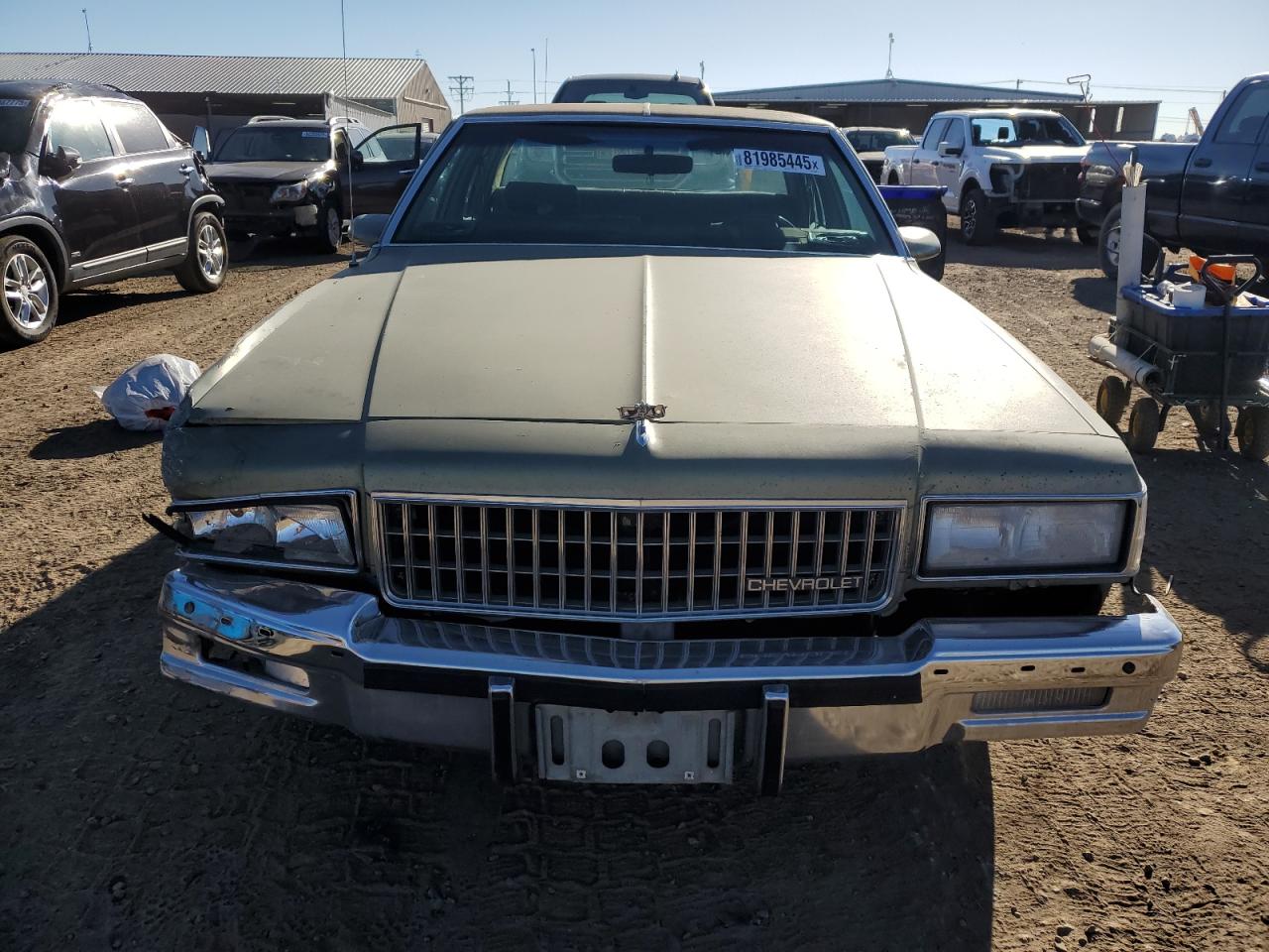 1987 Chevrolet Caprice Classic Green vin: 1G1BN51HXHX104230