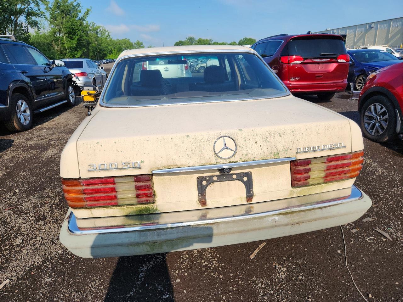 1984 Mercedes-benz 300 Sd Cream vin: WDBCB20A1EA035965
