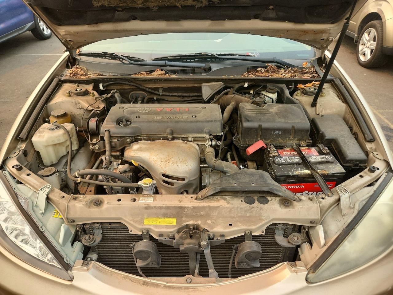2004 Toyota Camry Le Gold vin: 4T1BE32K74U359169
