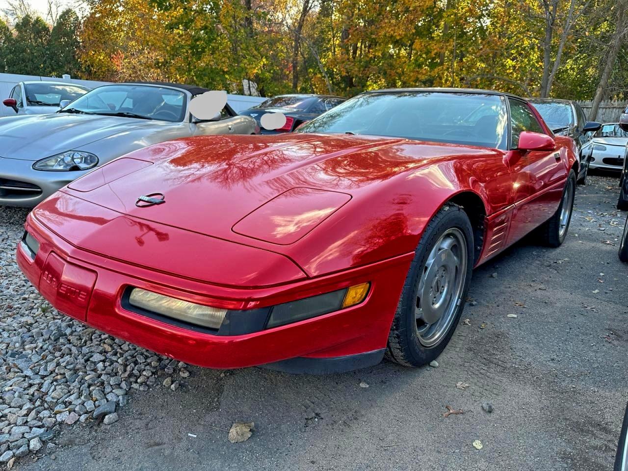 1994 Chevrolet Corvette Red vin: 1G1YY22P4R5108017