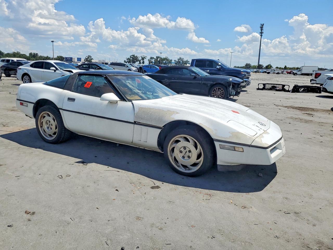 1989 Chevrolet Corvette White vin: 1G1YY2183K5102435