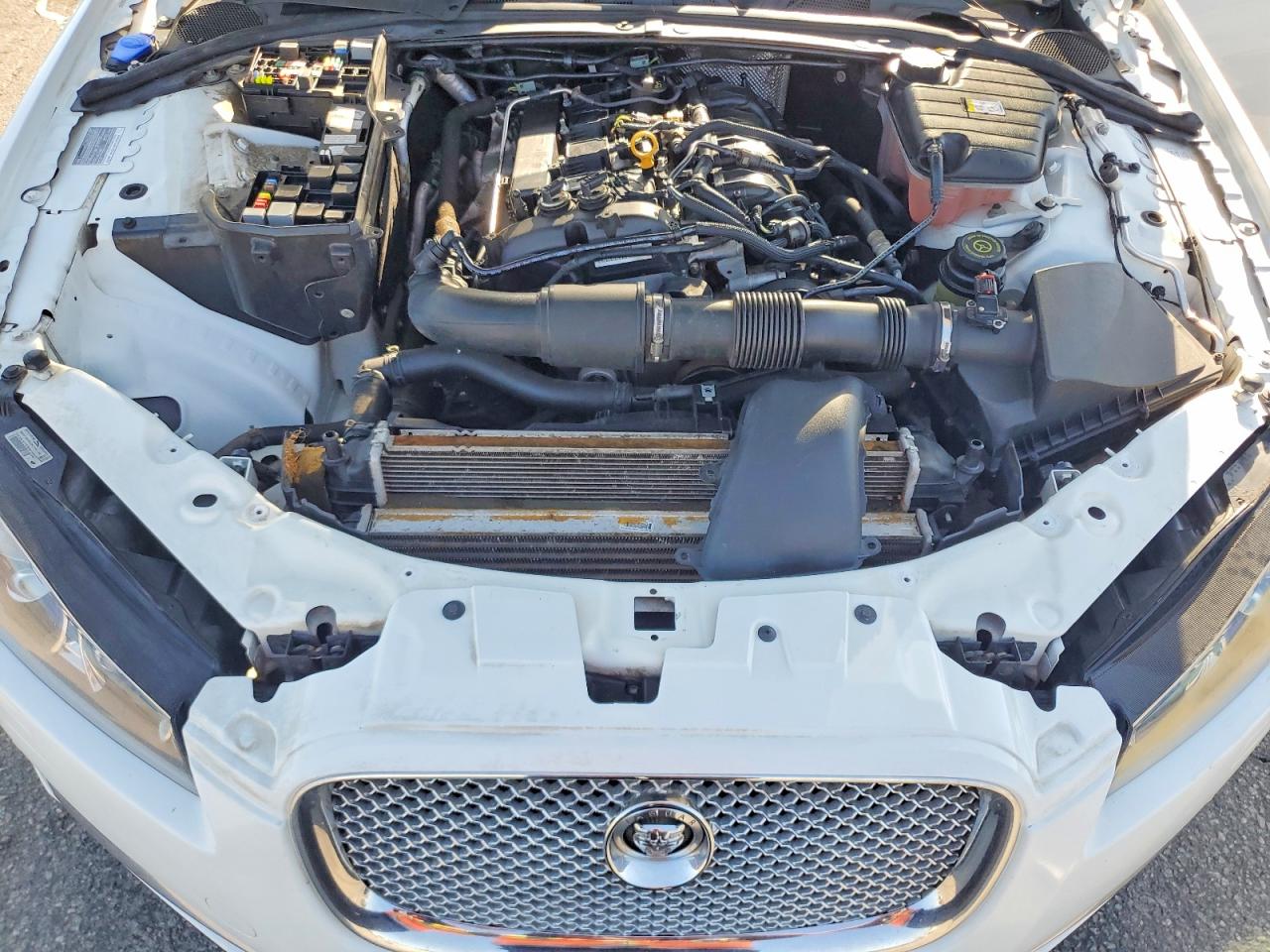 2013 Jaguar Xf White vin: SAJWA0ES2DPS82304