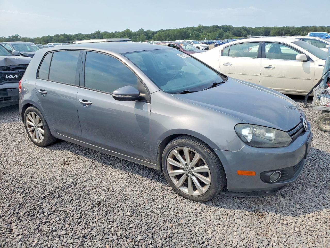 2013 Volkswagen Golf Gray vin: WVWDM7AJ4DW062106
