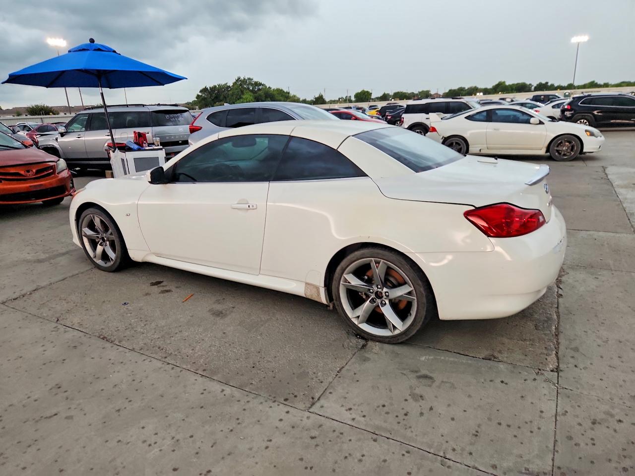 2014 Infiniti Q60 Convertible Base Белый vin: JN1CV6FE7EM900465