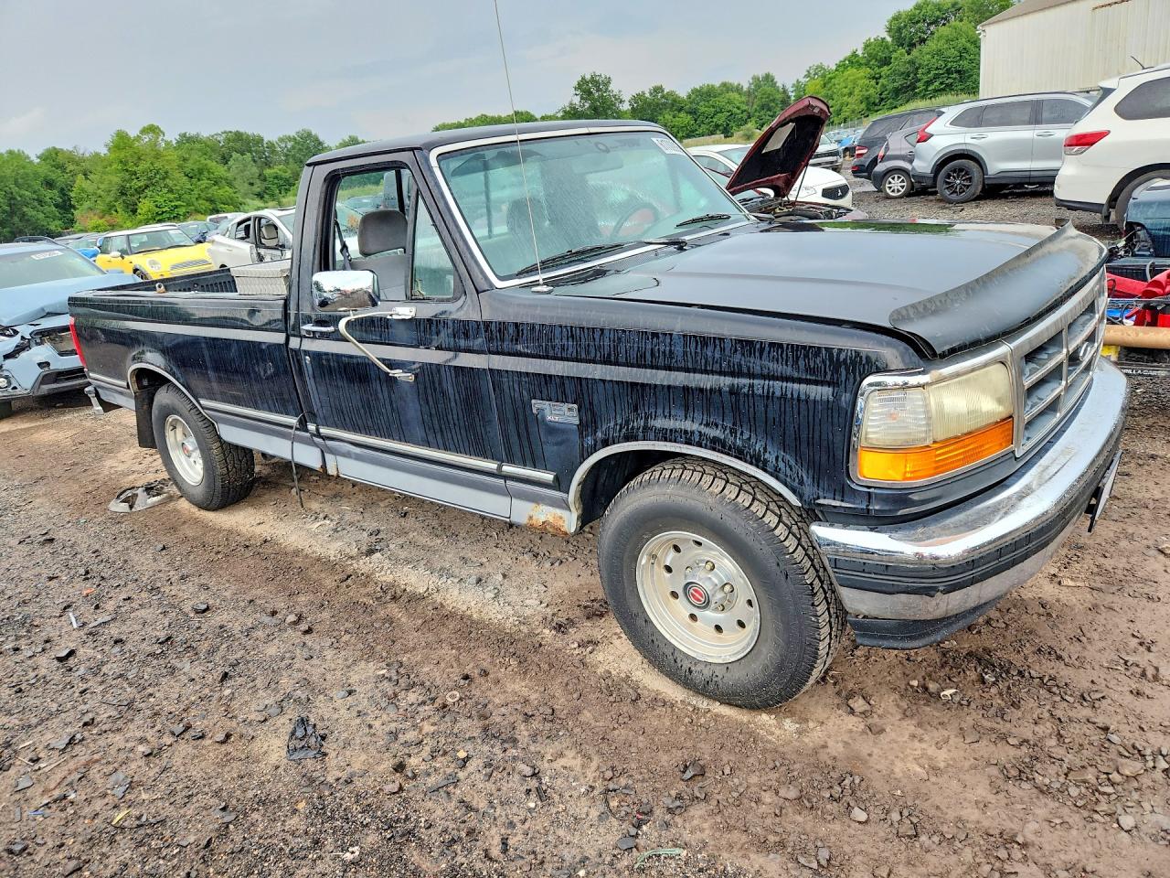 1994 Ford F150 Черный vin: 1FTEF15N6RNB13689