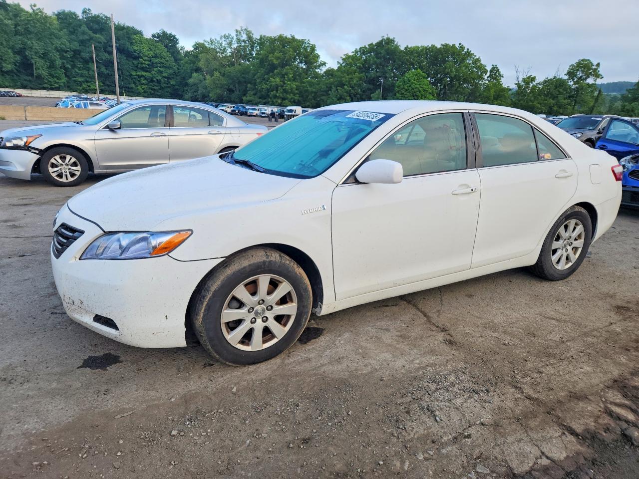 2009 Toyota Camry Hybrid White vin: 4T1BB46K99U094027