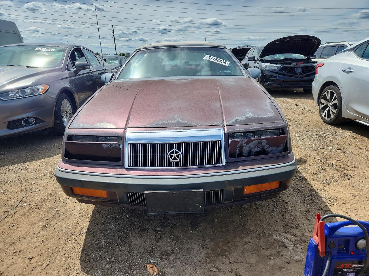 1991 Chrysler Lebaron Purple vin: 1C3XJ4536MG100515