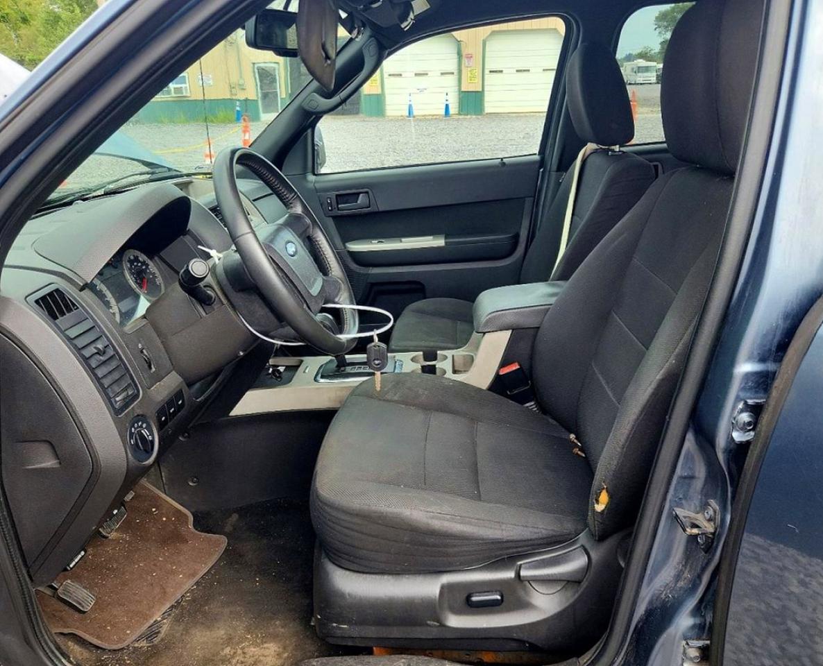 2010 Ford Escape Xlt Blue vin: 1FMCU0DG3AKA53298
