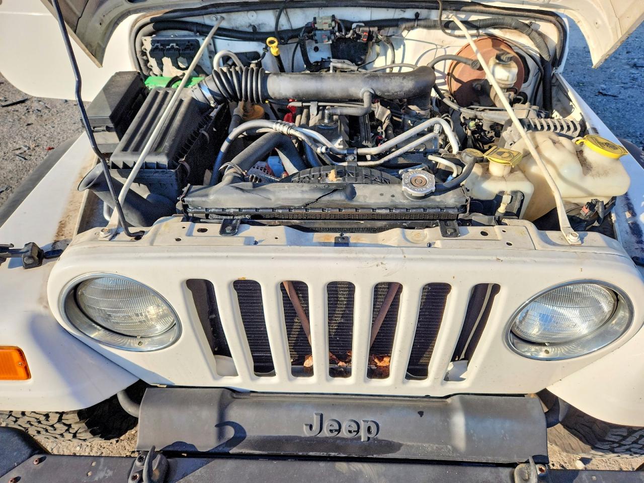 2003 Jeep Wrangler / Tj Sport White vin: 1J4FA49S23P371332