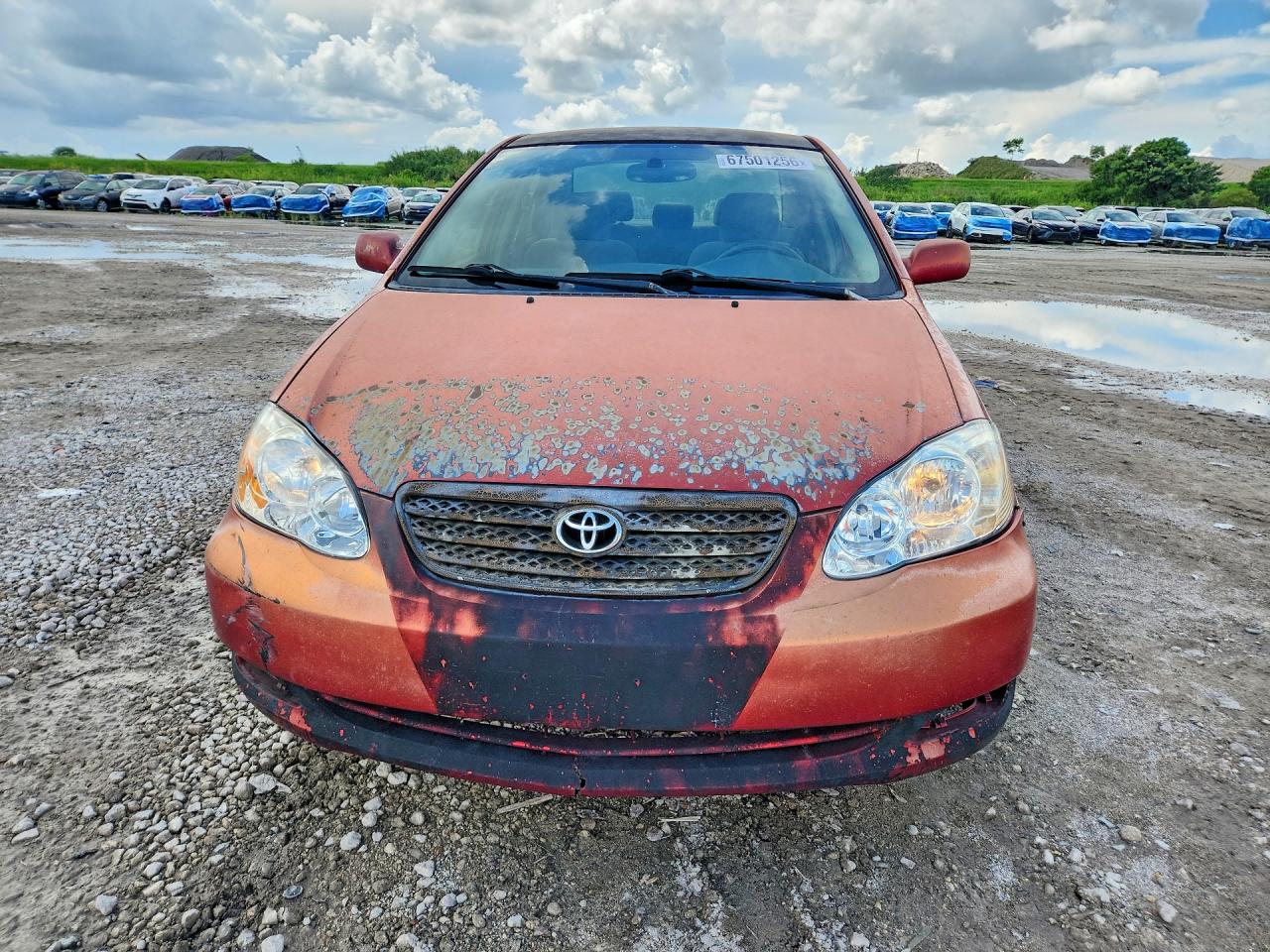 2006 Toyota Corolla Le Red vin: 2T1BR30E76C661115