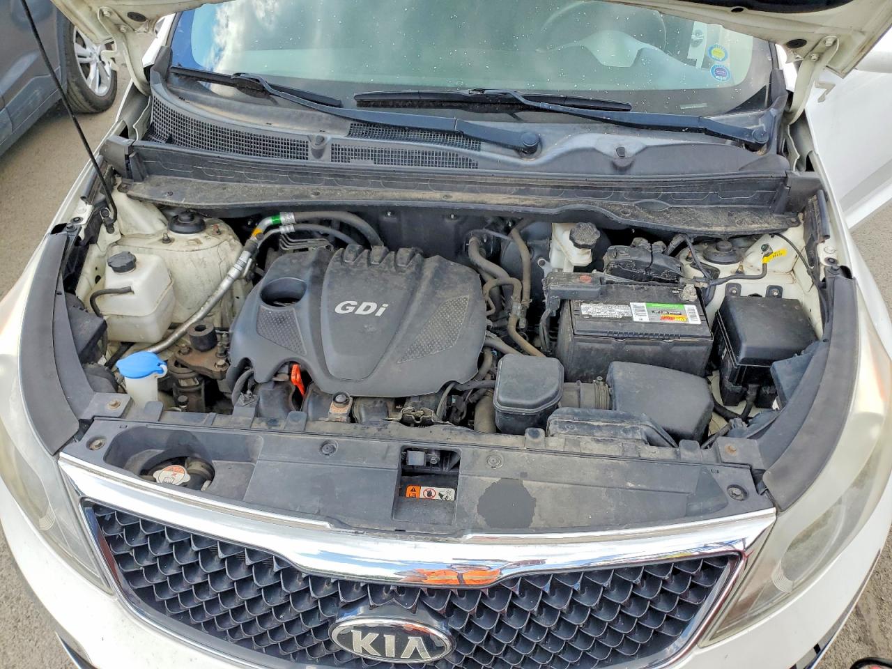 2015 Kia Sportage Lx Белый vin: KNDPBCAC1F7700869