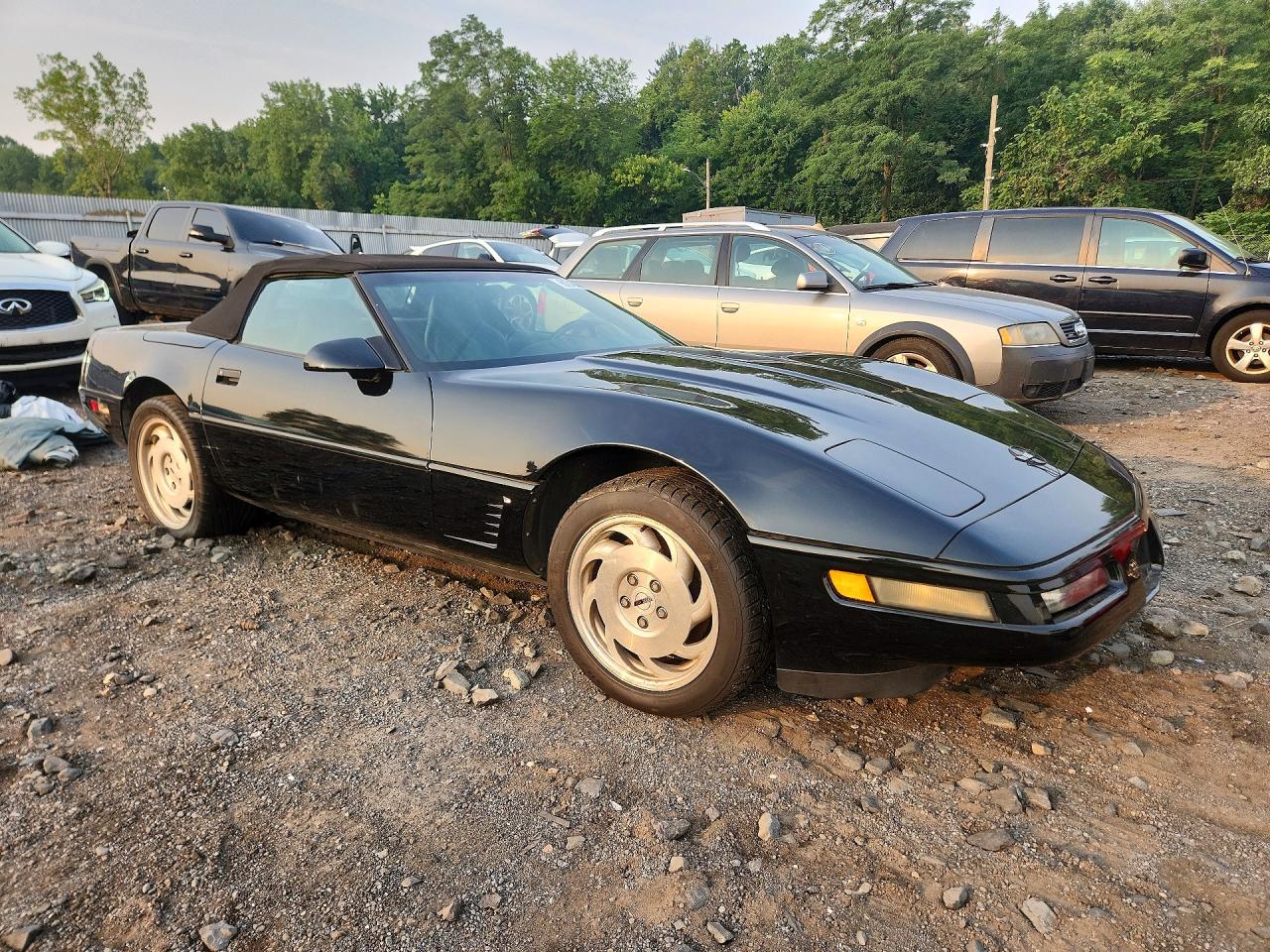 1995 Chevrolet Corvette Black vin: 1G1YY32P4S5102794