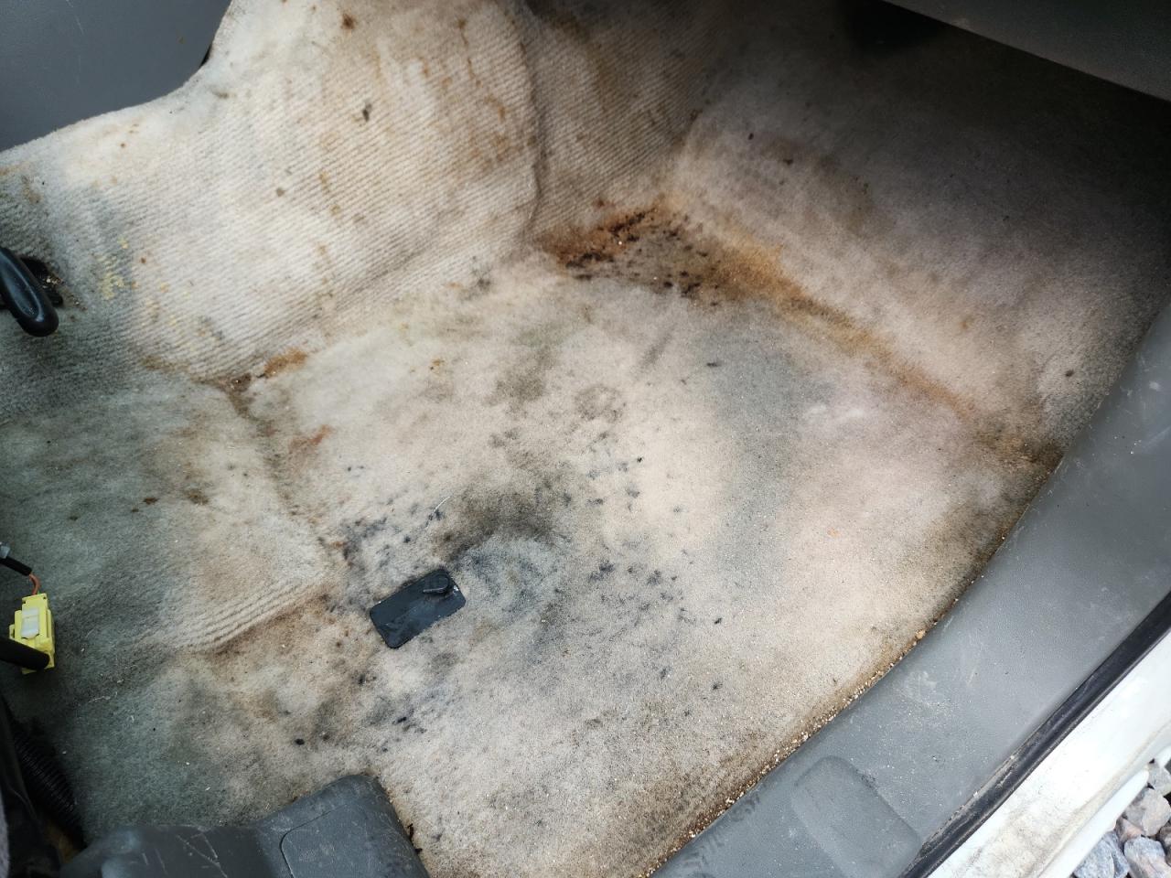 2015 Nissan Frontier S White vin: 1N6BD0CT8FN735479 Damage: Right Front Carpet, Stained, Permanent
