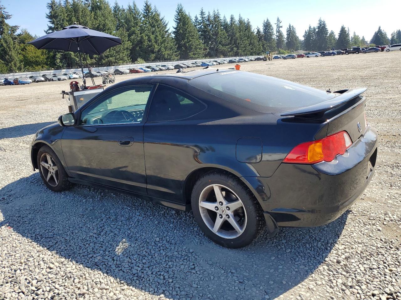 2002 Acura Rsx Black vin: JH4DC54892C007311