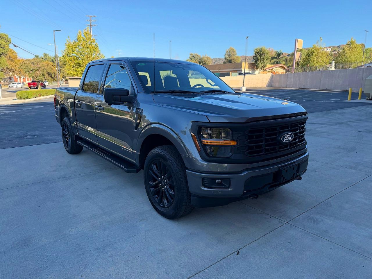 2025 Ford F150 Xlt Gray vin: 1FTFW3LD3SFB67378