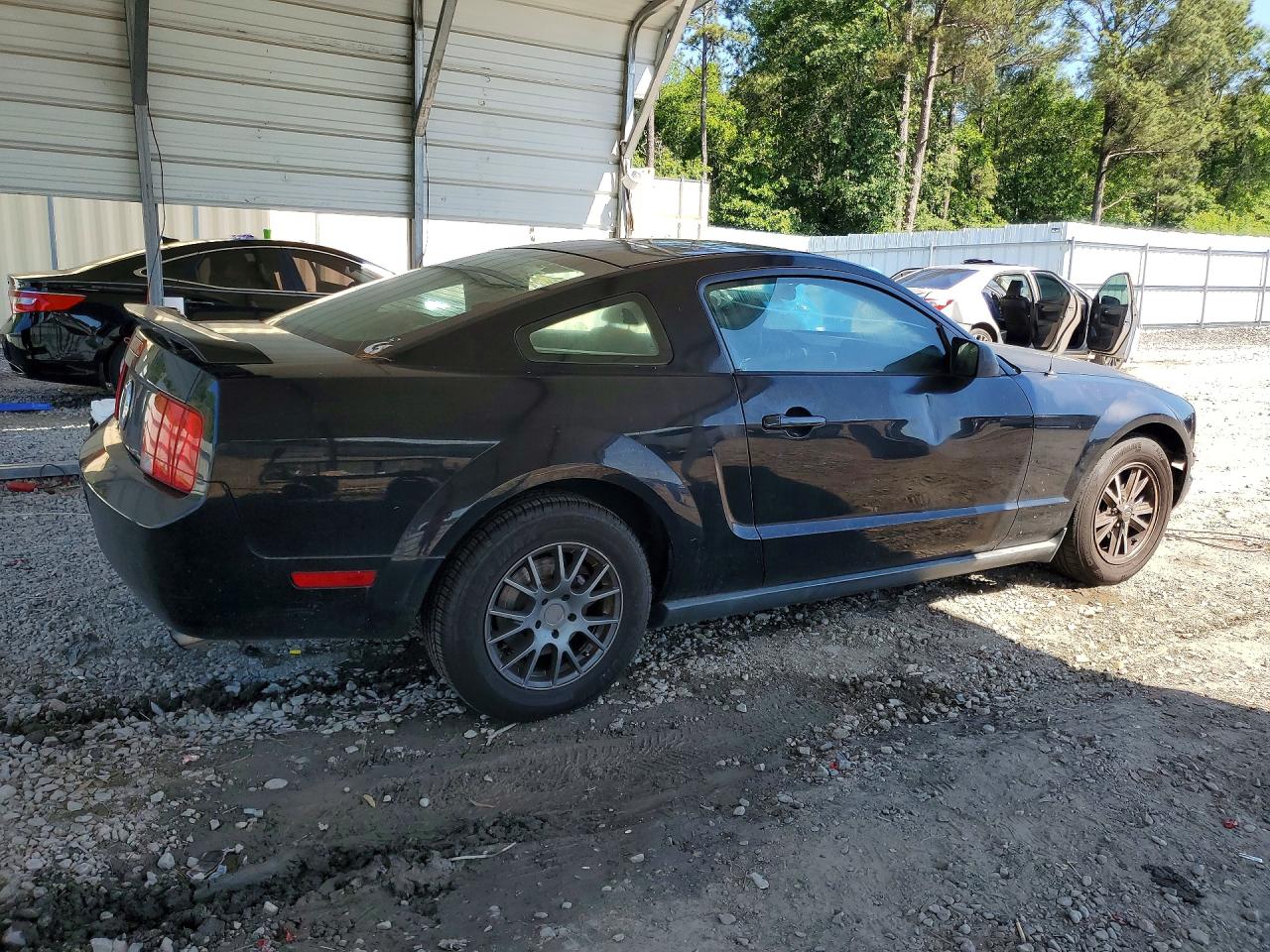 2005 Ford Mustang Черный vin: 1ZVFT80N055193401
