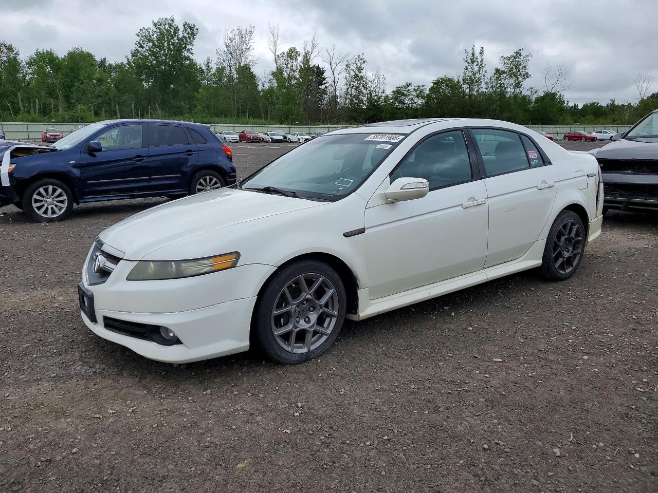 2008 Acura Tl Type S Белый vin: 19UUA76588A003309
