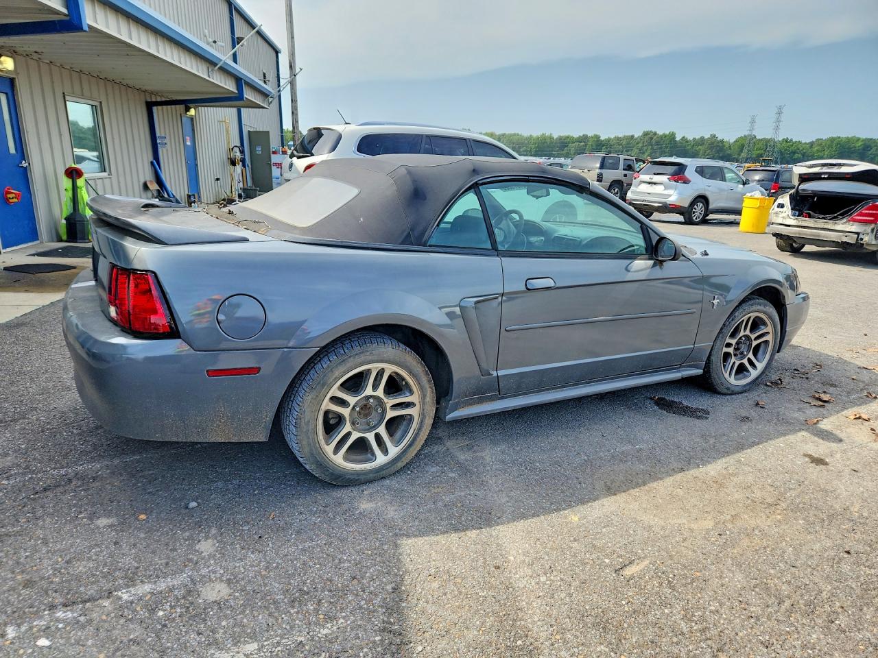 2000 Ford Mustang Gray vin: 1FAFP4444YF281096