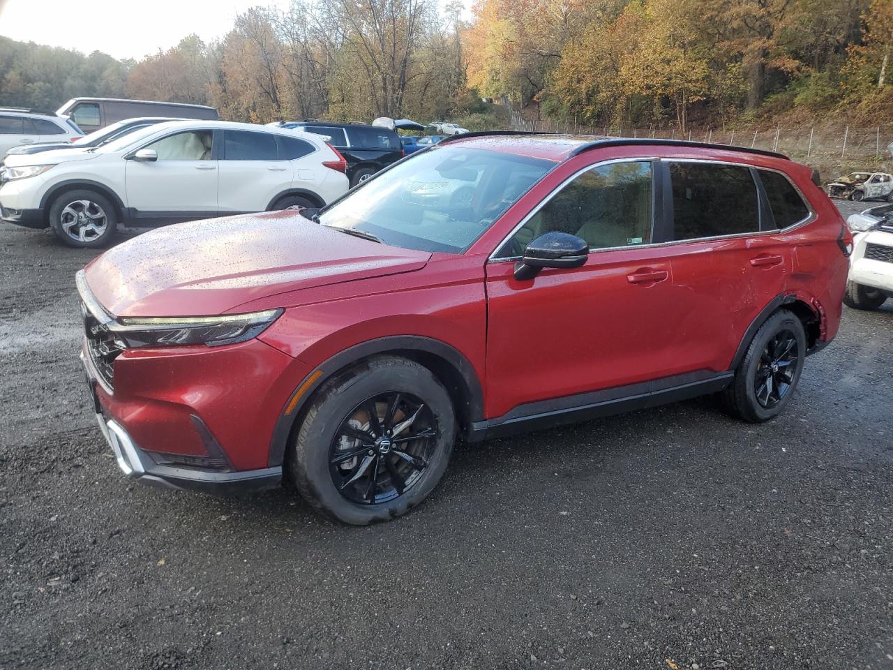 2024 Honda Cr-v Sport Touring Red vin: 2HKRS6H90RH812647