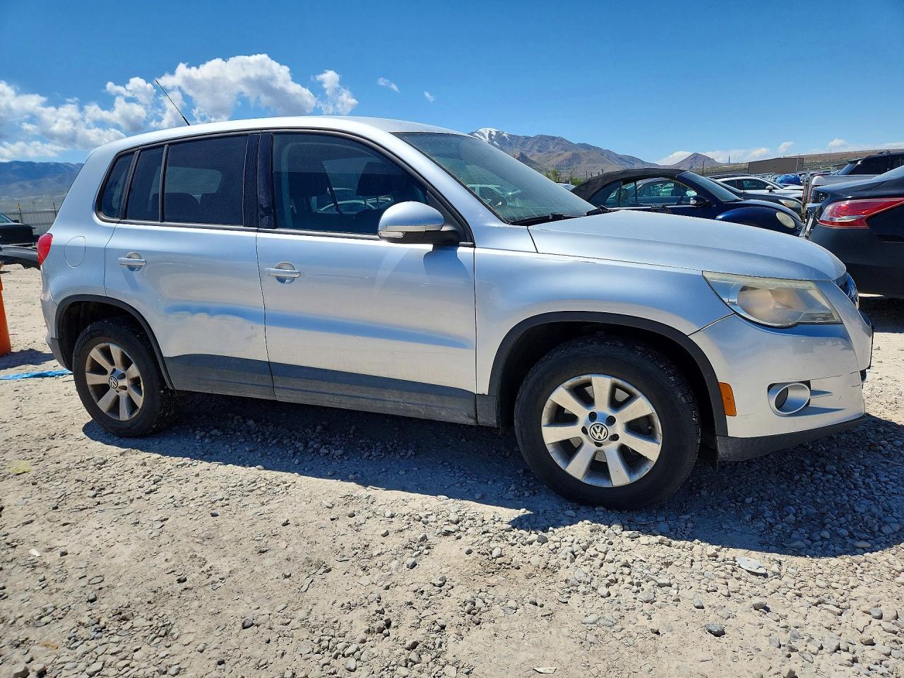 2010 Volkswagen Tiguan Se Silver vin: WVGBV7AX6AW523838