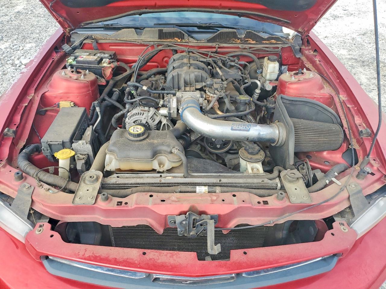 2010 Ford Mustang Red vin: 1ZVBP8AN7A5123521