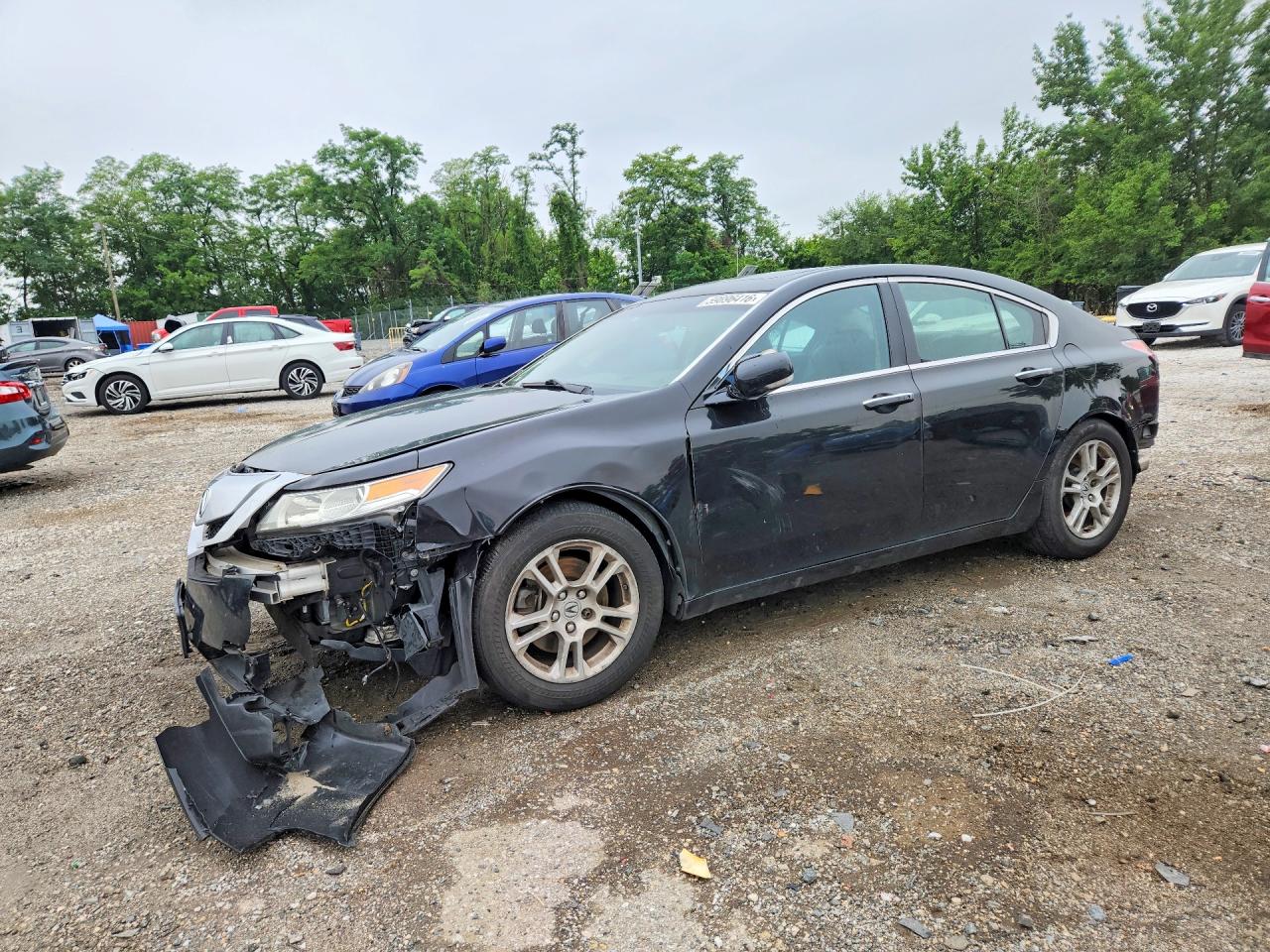 2010 Acura Tl Black vin: 19UUA8F54AA013444