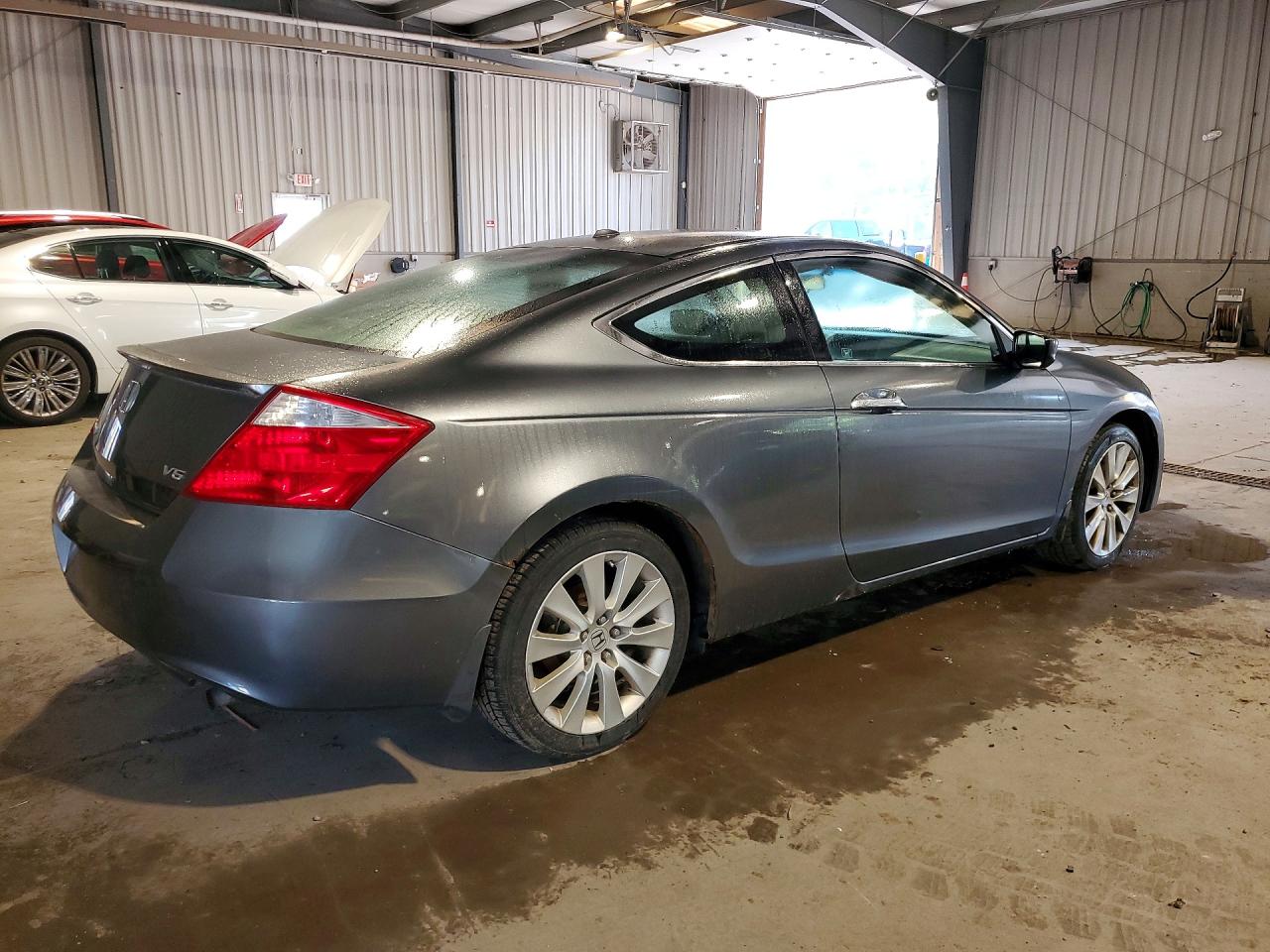 2009 Honda Accord Exl Gray vin: 1HGCS21889A003261