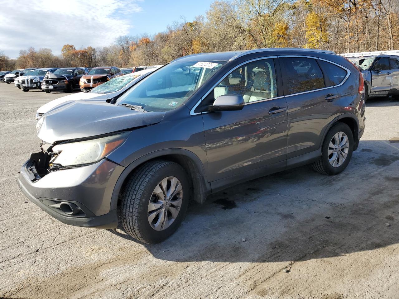 2012 Honda Cr-v Exl Gray vin: 2HKRM4H72CH629030