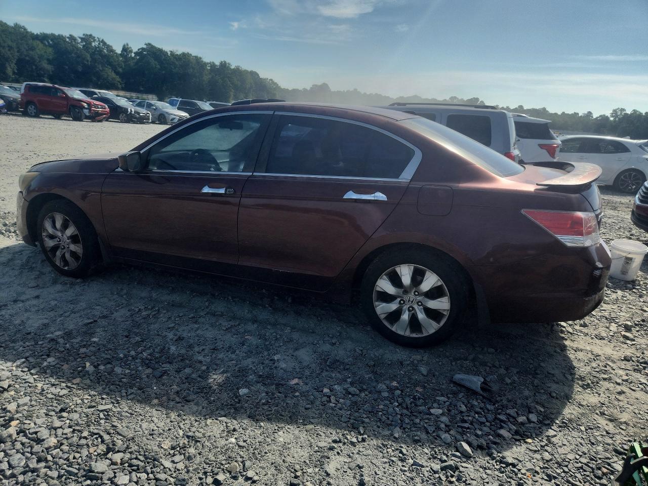 2008 Honda Accord Exl Burgundy vin: 1HGCP368X8A077120