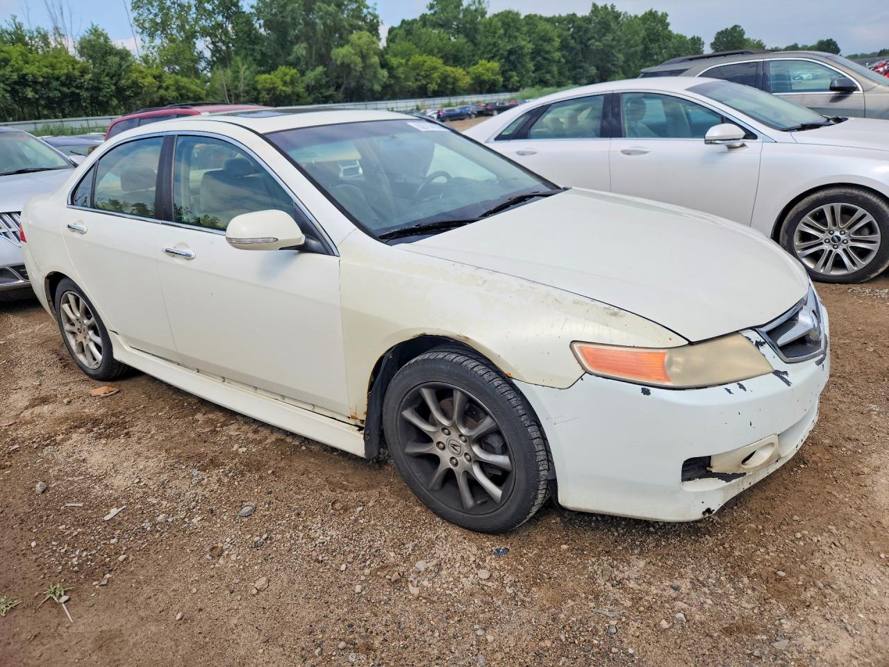 2006 Acura Tsx White vin: JH4CL96976C036577