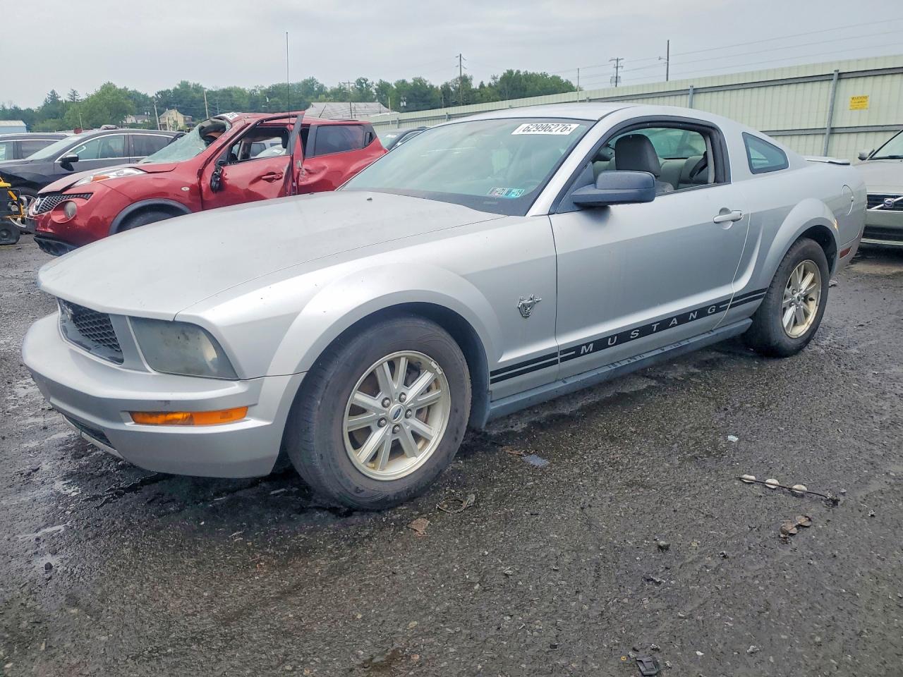 2009 Ford Mustang Gray vin: 1ZVHT80N895104804