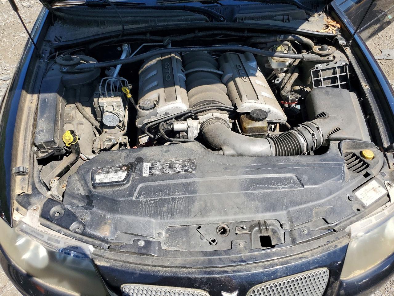 2006 Pontiac Gto Черный vin: 6G2VX12U16L825969