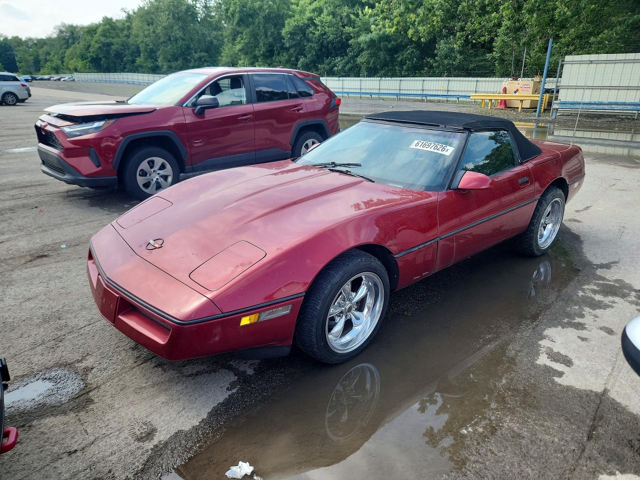 1990 Chevrolet Corvette Red vin: 1G1YY3384L5116574