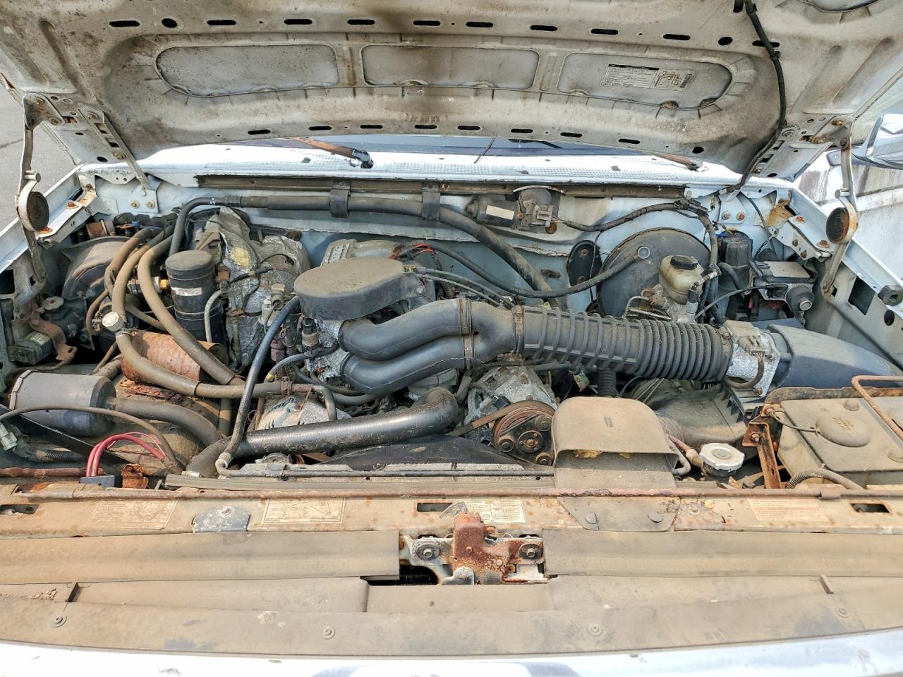 1995 Ford Bronco U100 White vin: 1FMEU15NXSLB15819