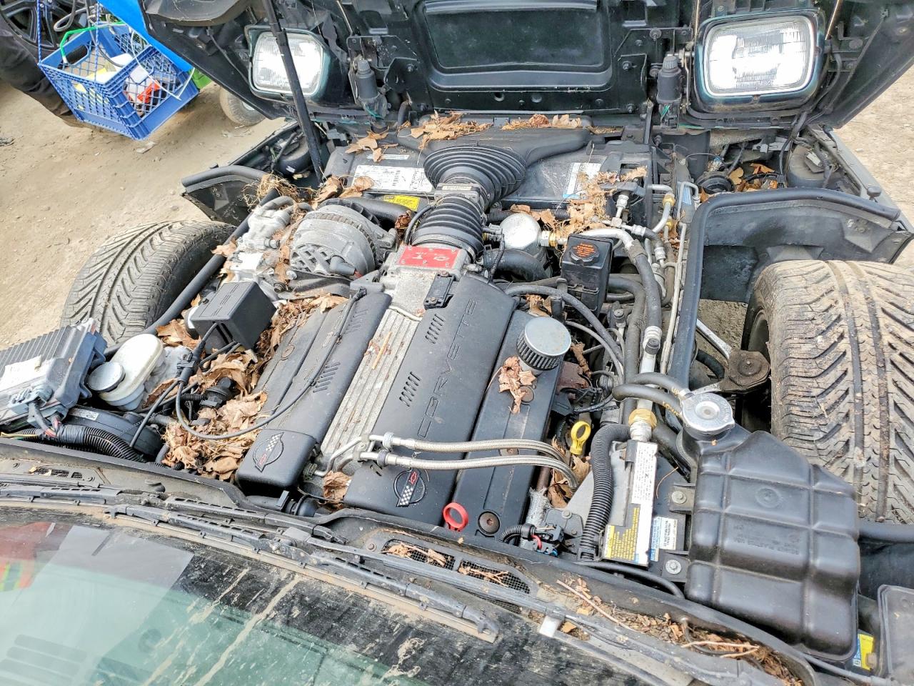 1996 Chevrolet Corvette Зеленый vin: 1G1YY32P1T5110630