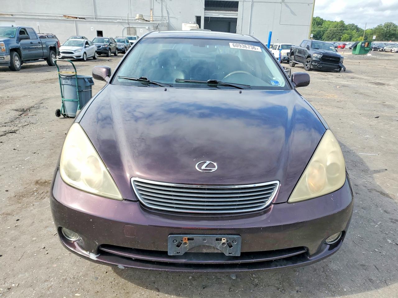 2005 Lexus Es 330 Purple vin: JTHBA30G155105403