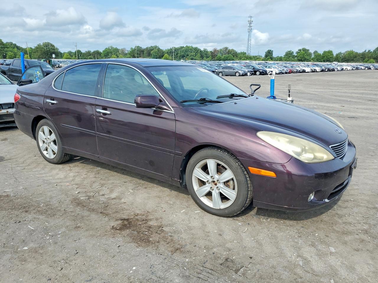 2005 Lexus Es 330 Purple vin: JTHBA30G155105403