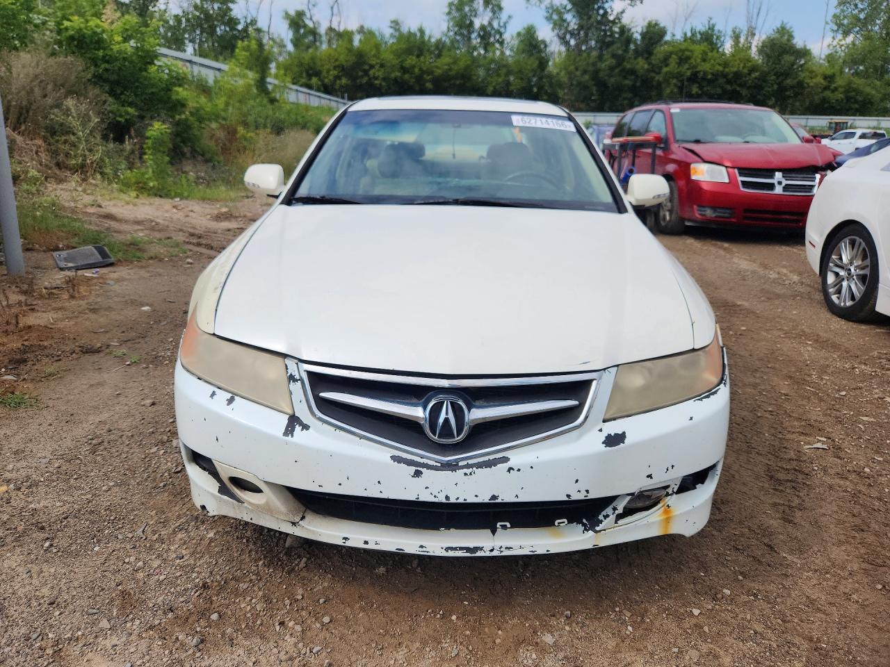 2006 Acura Tsx White vin: JH4CL96976C036577