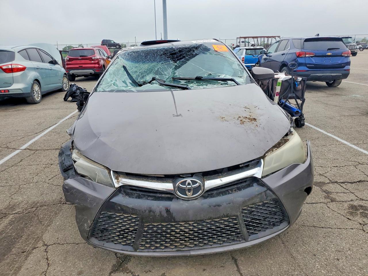 2015 Toyota Camry Xse V6 Gray vin: 4T1BK1FK8FU029289