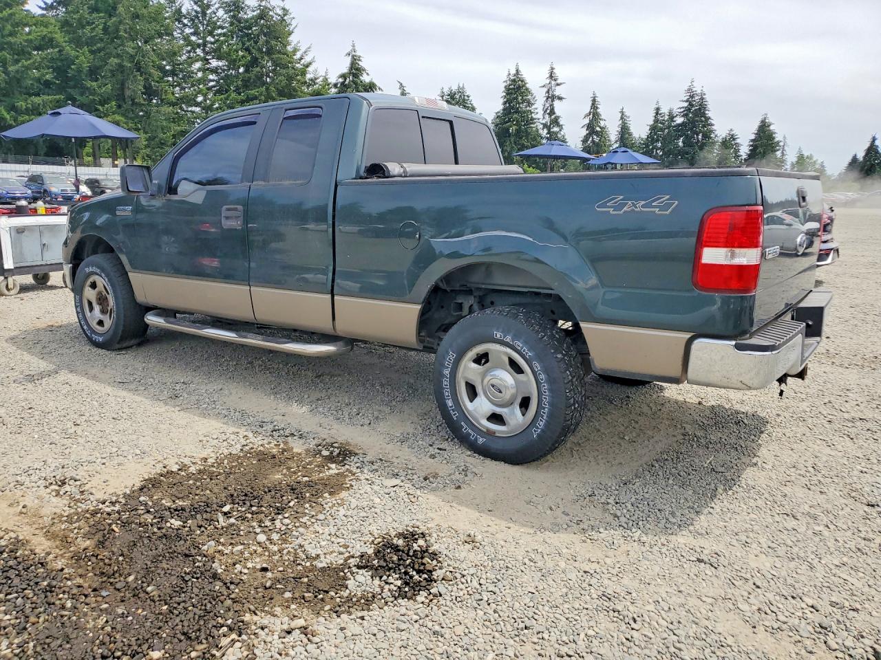 2005 Ford F150 Green vin: 1FTPX14565NB02807