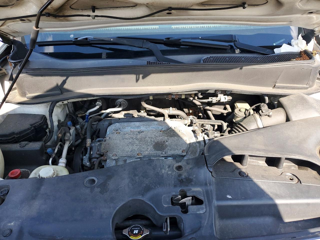 2009 Honda Pilot Exl White vin: 5FNYF48619B012609