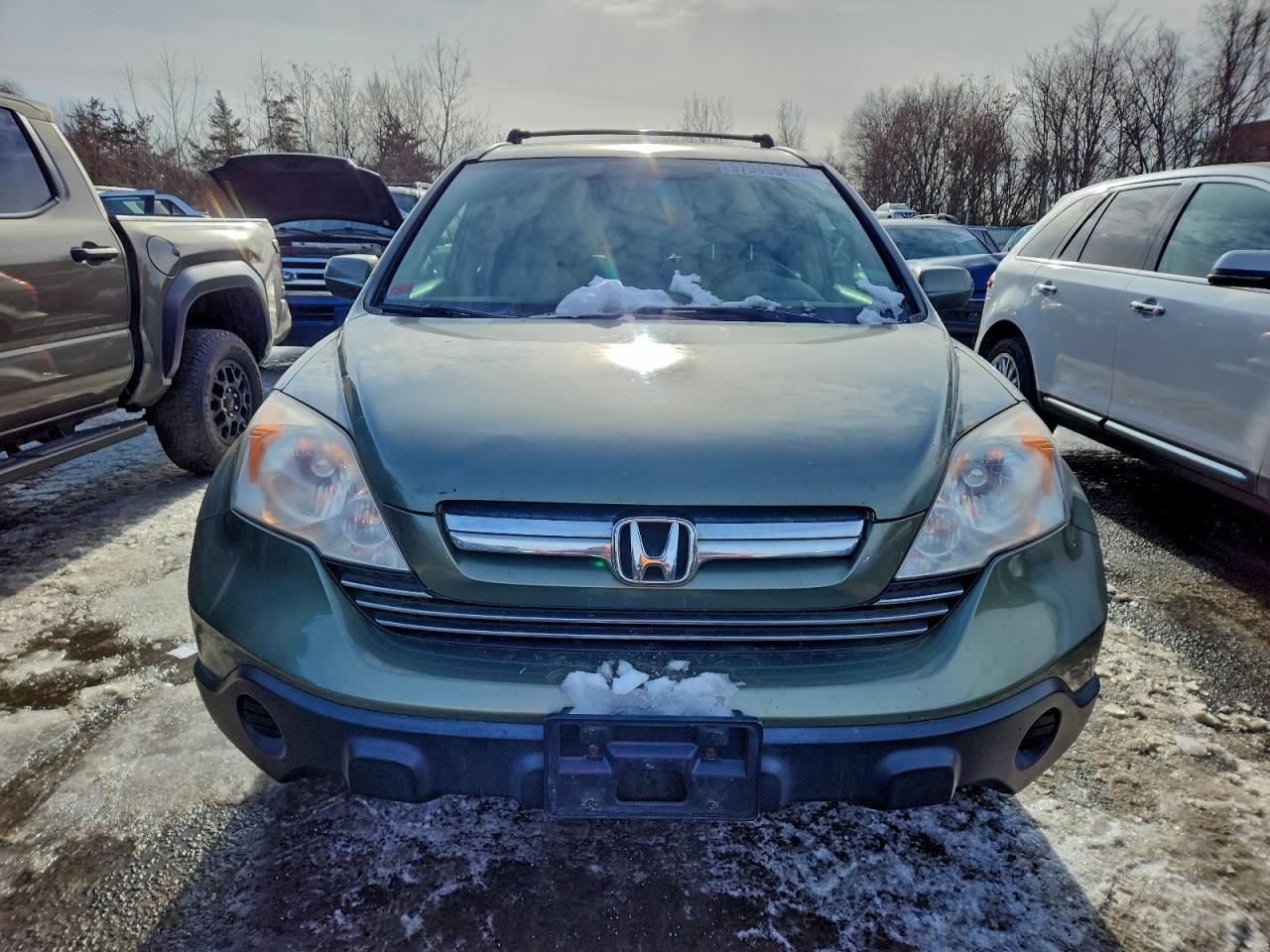 2008 Honda Cr-v Exl Green vin: JHLRE48728C037307