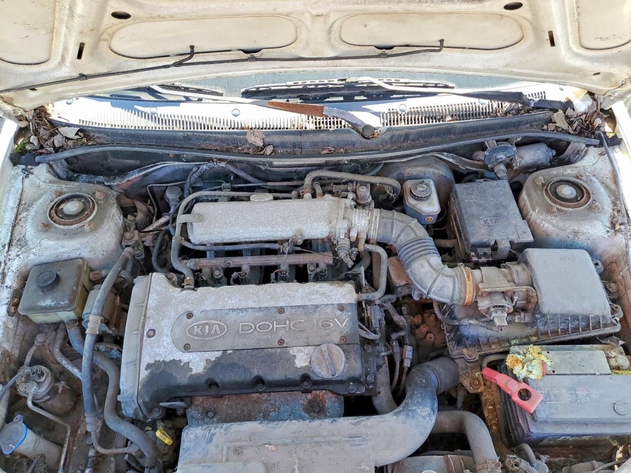 2001 Kia Sephia Base White vin: KNAFB121615011750