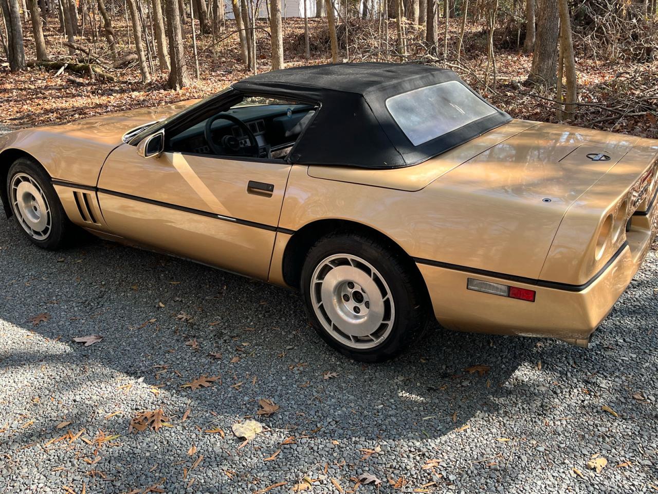 1986 Chevrolet Corvette Gold vin: 1G1YY6789G5902436
