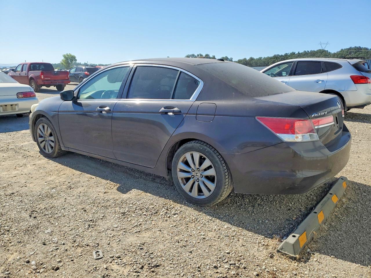 2011 Honda Accord Exl Gray vin: 1HGCP2F85BA088222