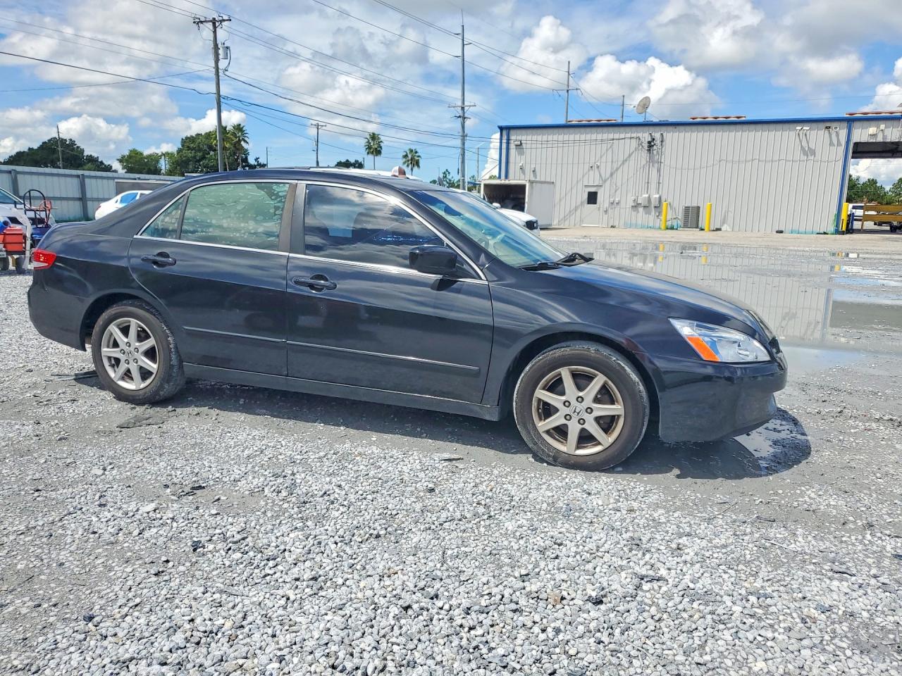 2004 Honda Accord Ex Black vin: 1HGCM66544A023662