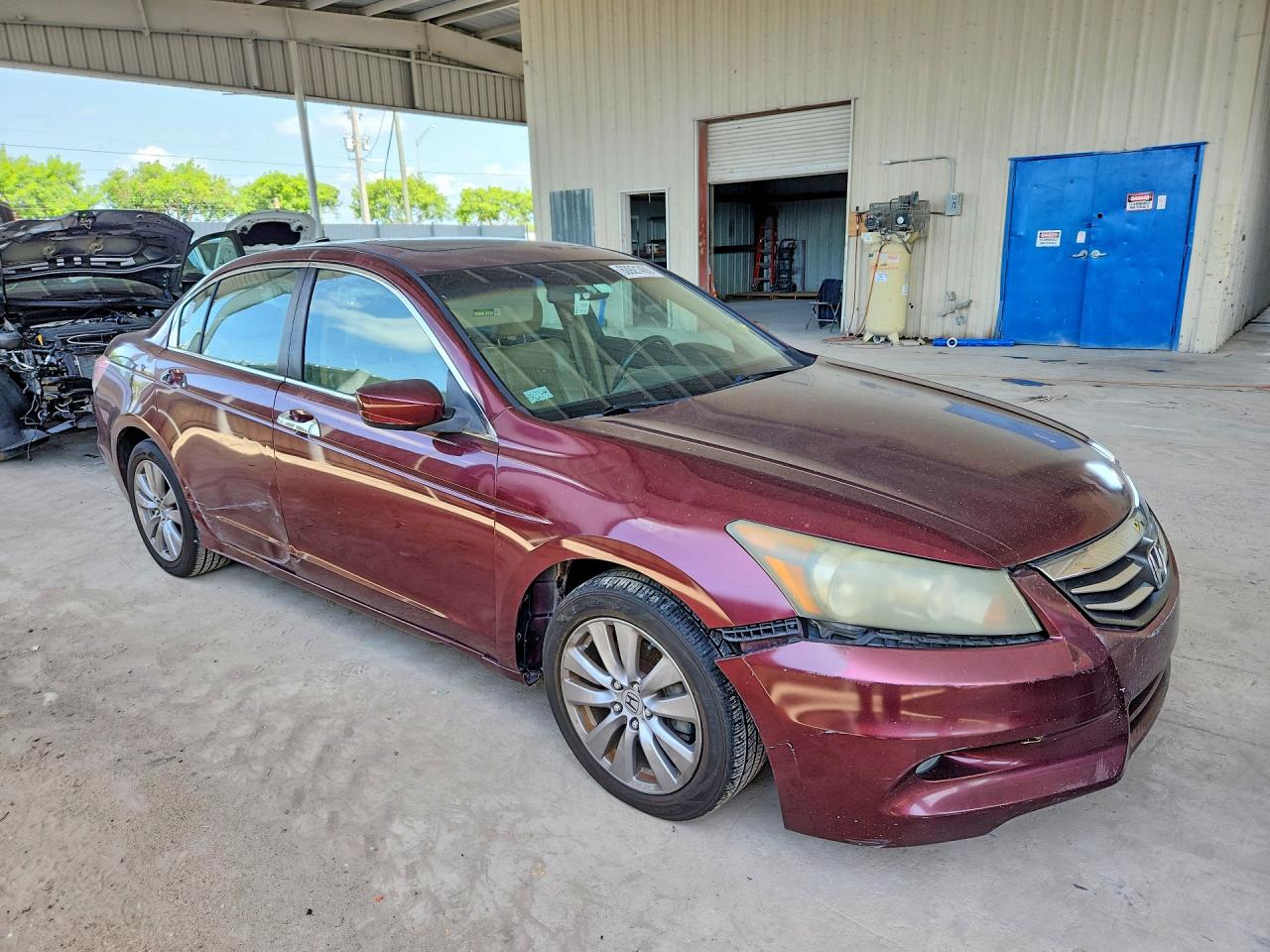 2011 Honda Accord Exl Burgundy vin: 1HGCP3F8XBA021797