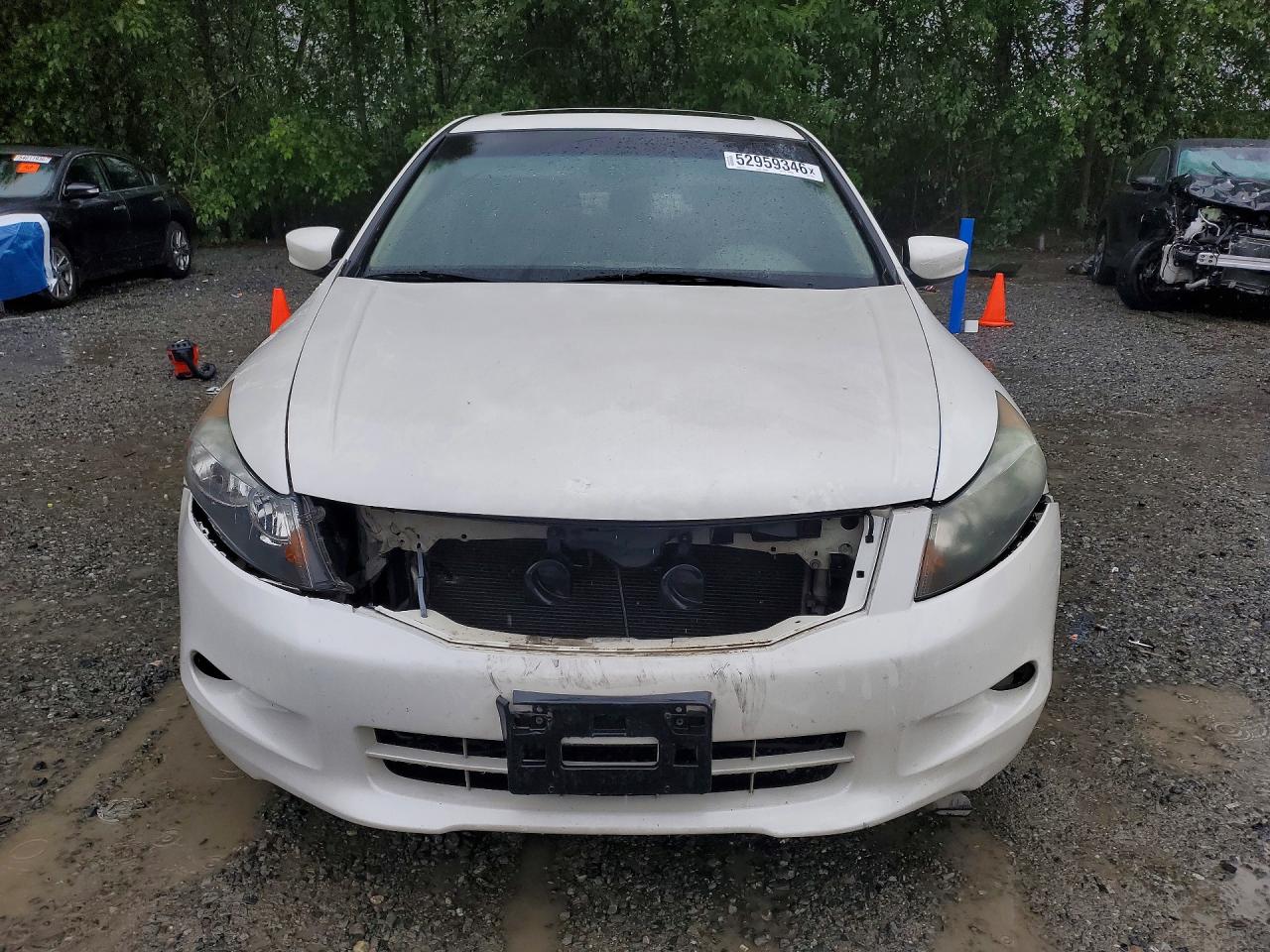 2008 Honda Accord Exl Белый vin: 1HGCP36818A058536