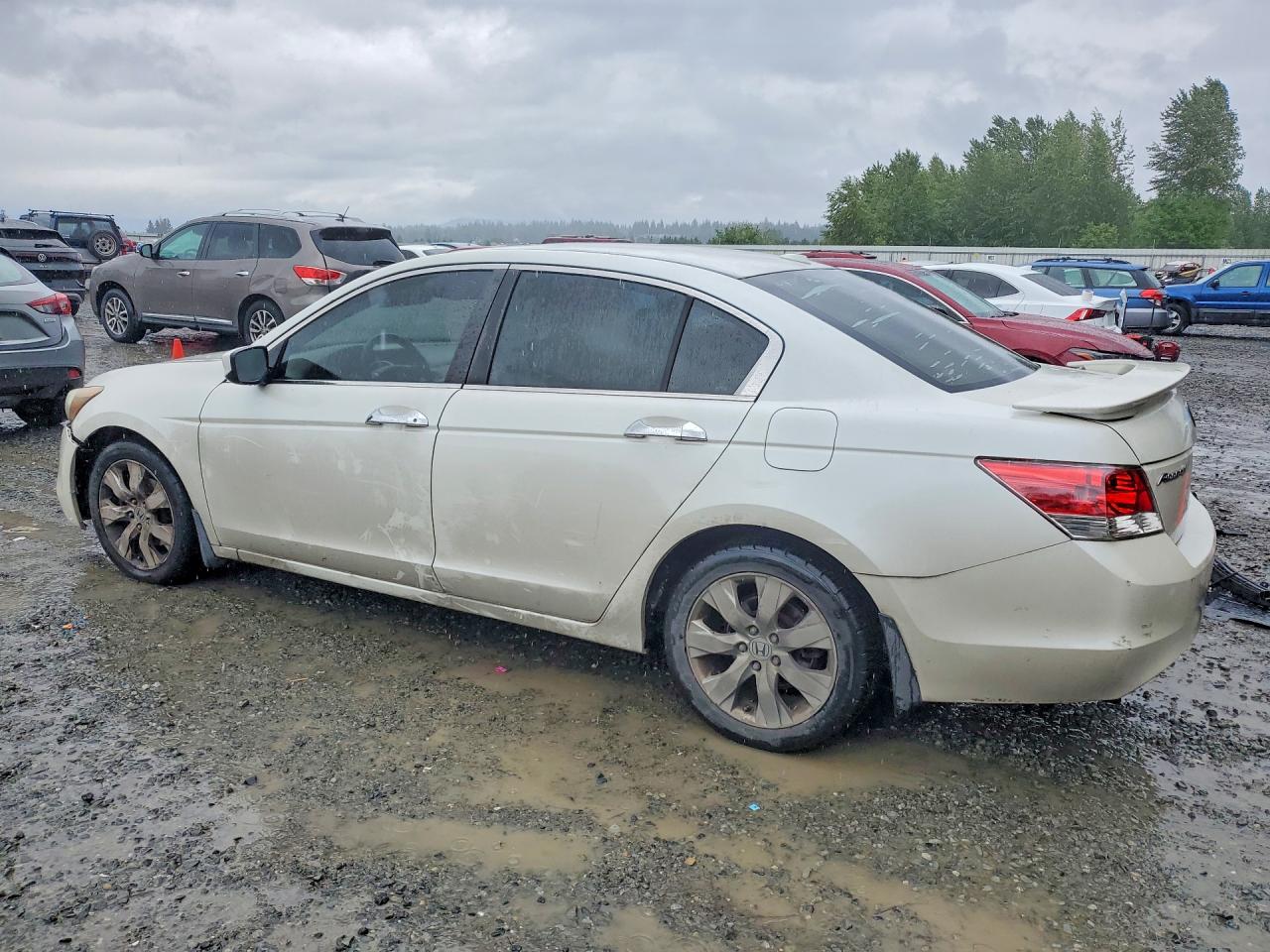 2008 Honda Accord Exl Белый vin: 1HGCP36818A058536